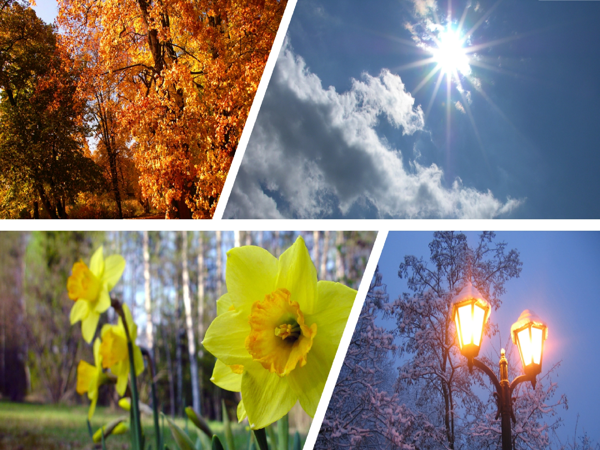 what ever the season Dave Manning is here to help you with your heating what ever the season Dave Manning is here to help you with your heating